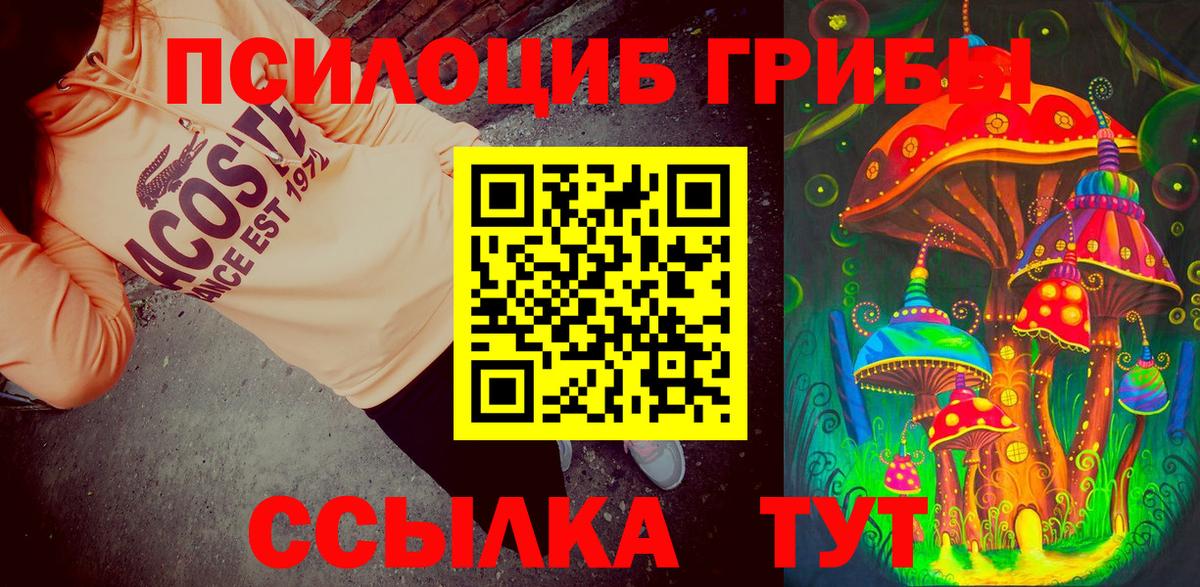 Усть-Илимск  сколько стоит  Вход с VPN  Галлюциногенные грибы ЛСД  Псилоцибиновые грибы Cubensis 
